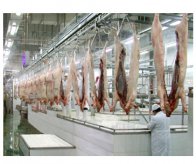 屠宰生產(chǎn)線